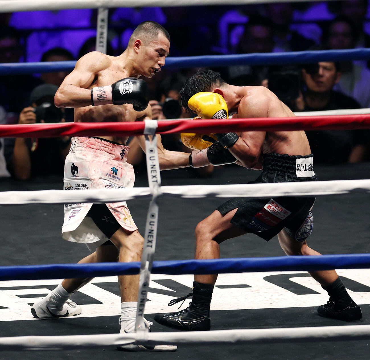 WBA世界バンタム級王座決定戦　11回、比嘉大吾（右）にパンチを打ち込む増田陸（撮影・宮地輝）