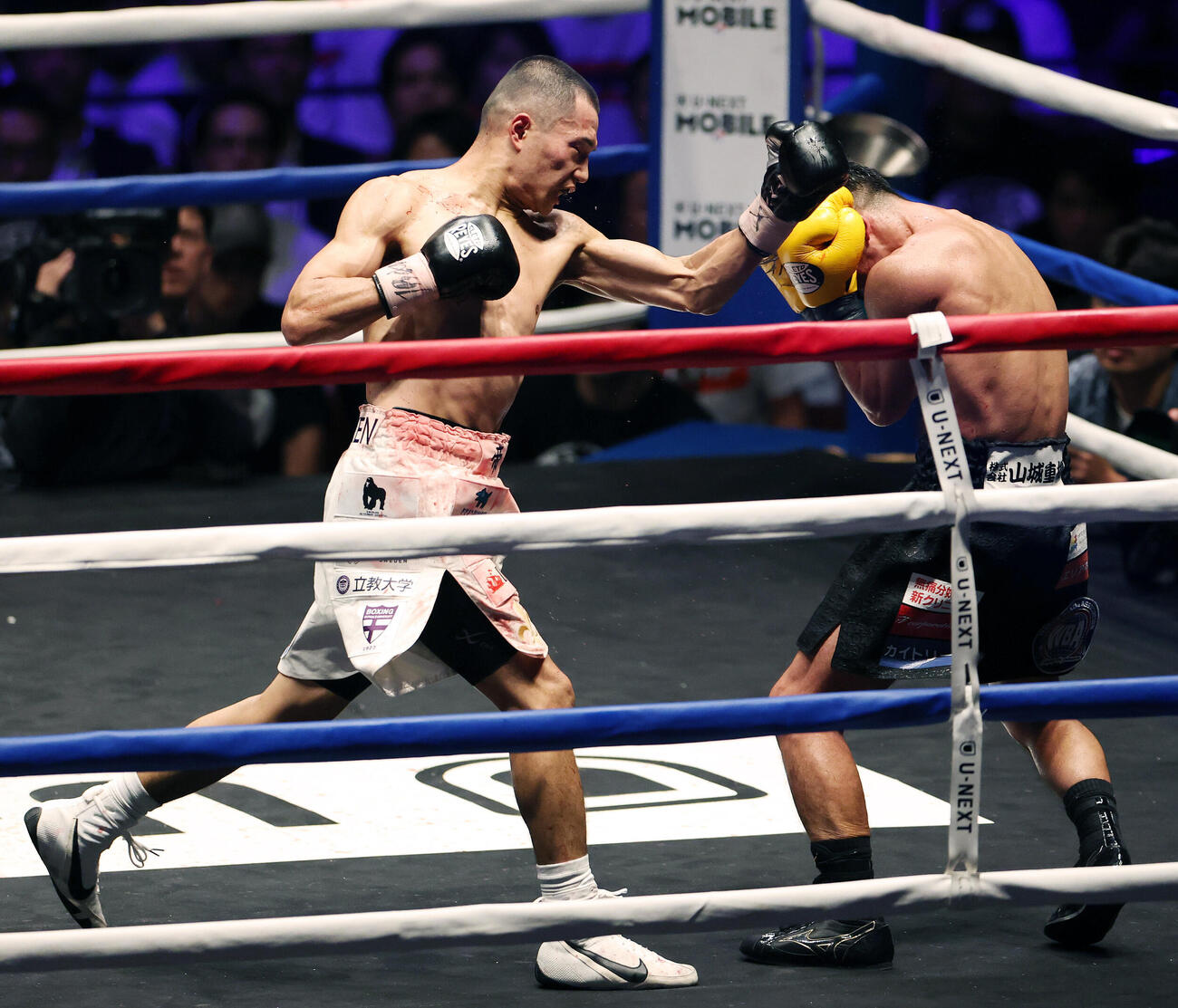 WBA世界バンタム級王座決定戦　12回、比嘉大吾（右）にパンチを打ち込む増田陸（撮影・宮地輝）