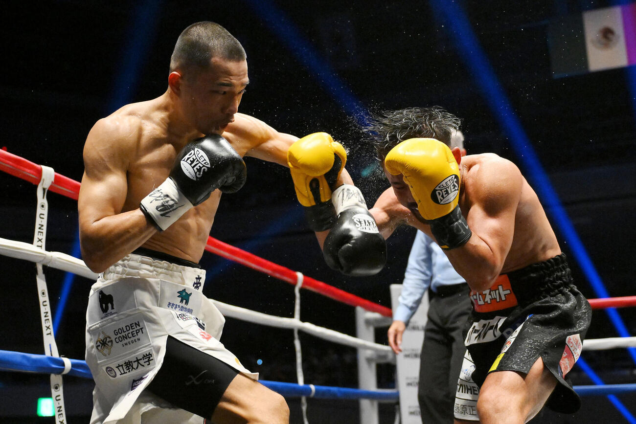WBA世界バンタム級王座決定戦　5回、増田陸（左）は比嘉大吾にパンチを打ち込む（撮影・滝沢徹郎）