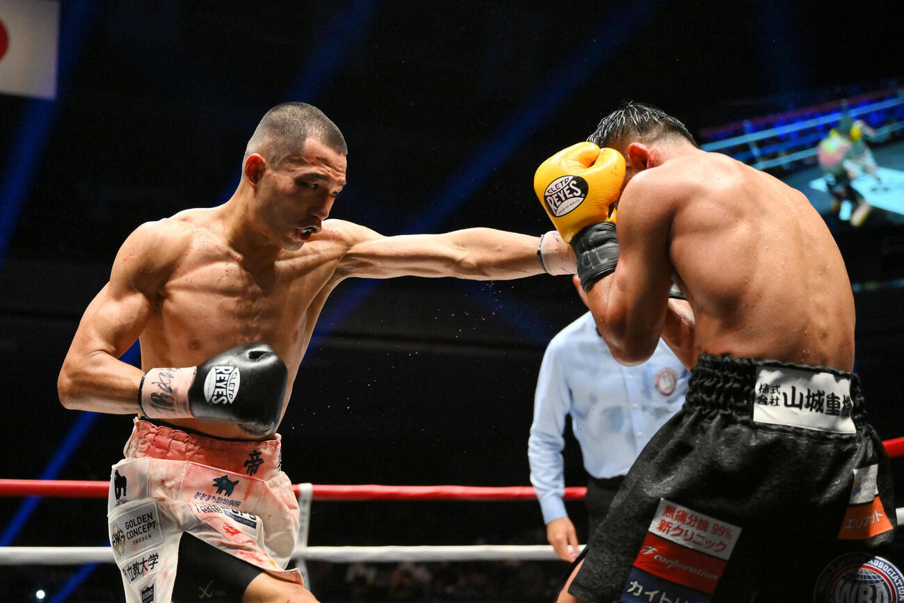 WBA世界バンタム級王座決定戦　11回、増田陸（左）は比嘉大吾にパンチを打ち込む（撮影・滝沢徹郎）
