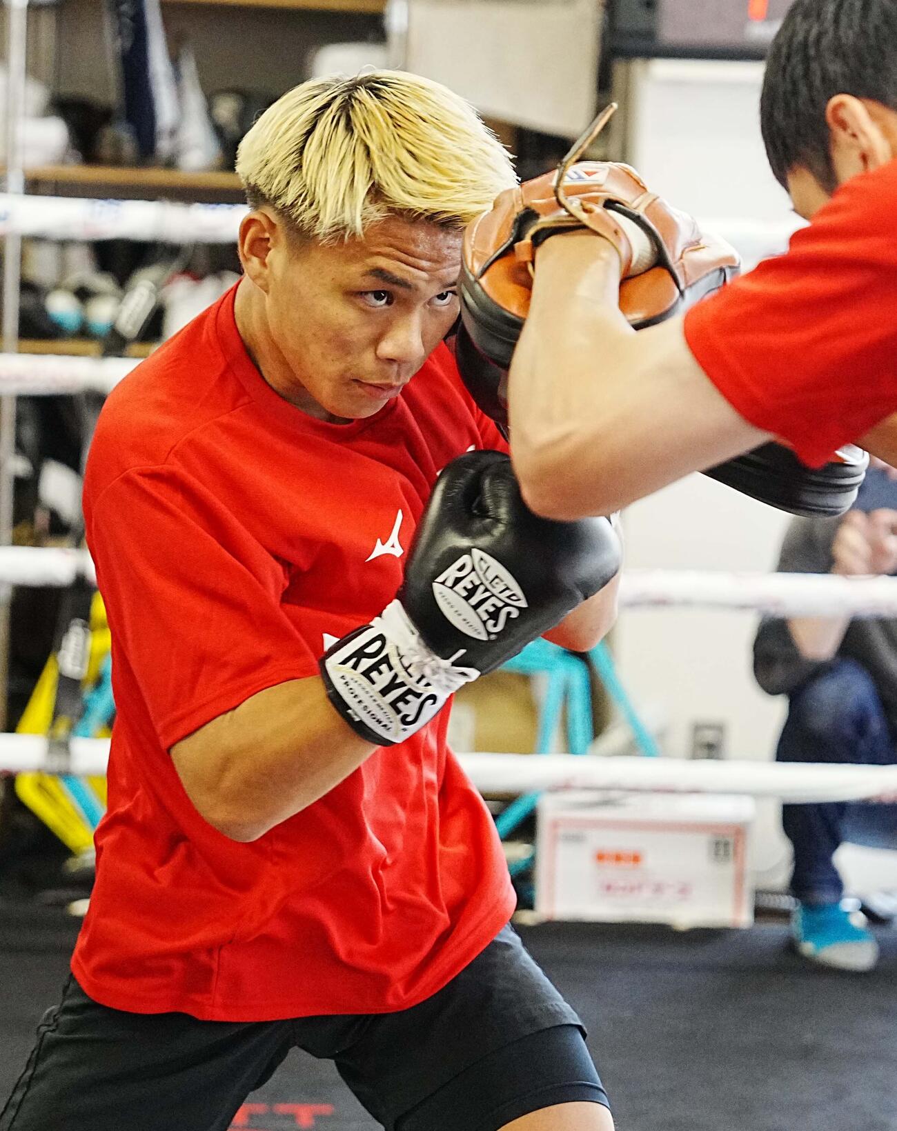 公開練習でトレーナーの構えたミットにパンチを打ち込む藤木勇我（撮影・小沢裕）