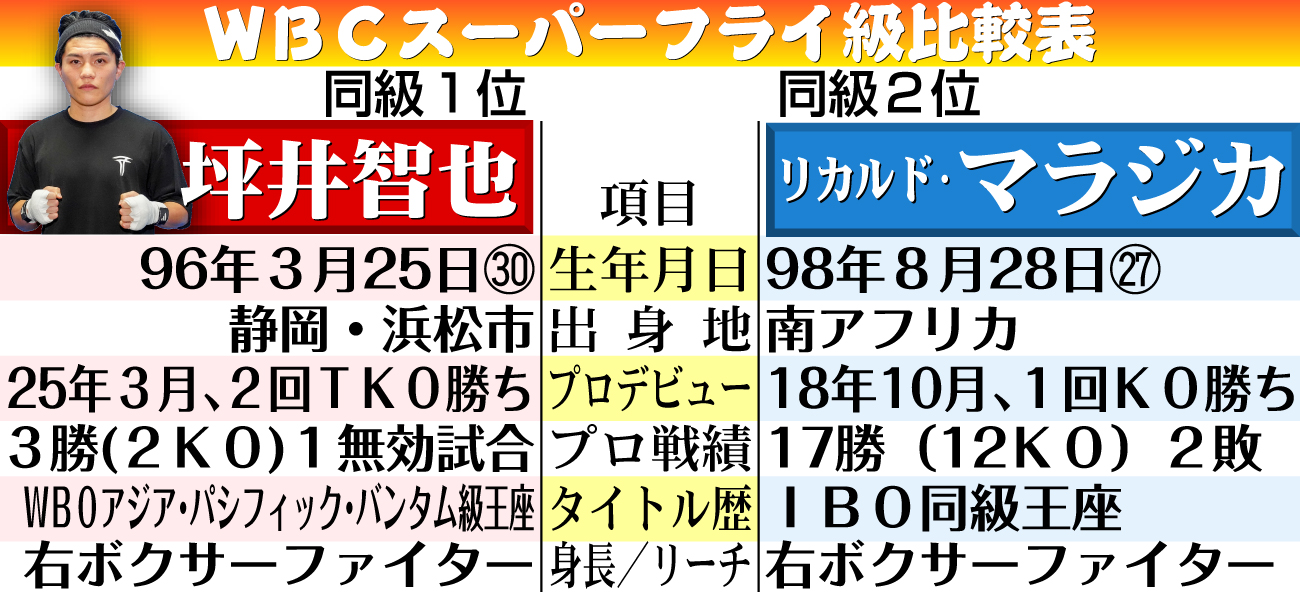 練習を公開し、ミット打ちを行う坪井智也（右）。左は田中繊大トレーナー（撮影・江口和貴）