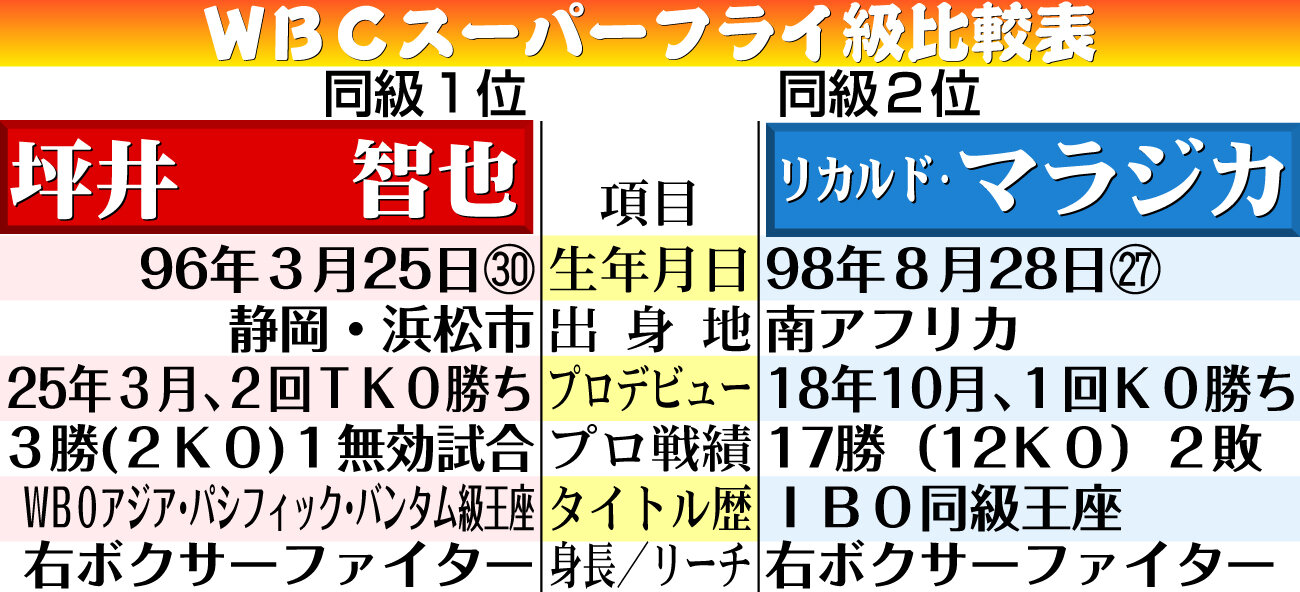 【イラスト】坪井vsマラジカWBCスーパーフライ級比較表