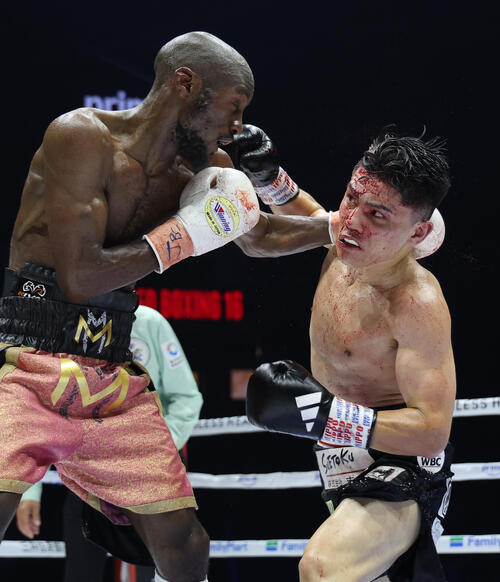 坪井智也、プロ初黒星で世界王座獲得逃す 身体能力の高いマラジカ攻略