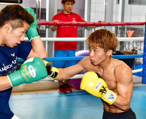 スパーリングを行う井上尚弥