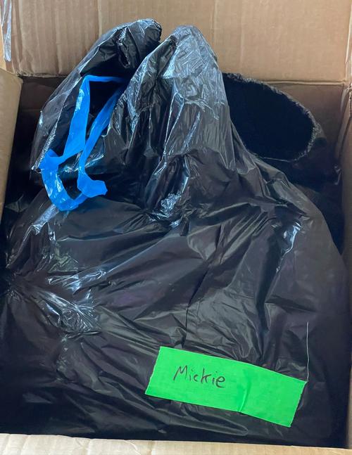 元WWE女子王者ミッキー・ジェームスがWWEから届けられたという自らの荷物が入ったごみ袋の写真（ジェームスのツイッターより）