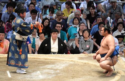 鶴竜が休場で不戦勝となった千代の国(撮影・前岡正明)
