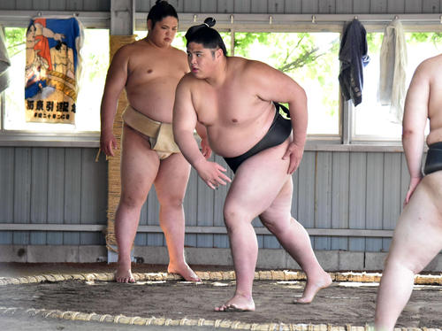 土俵の上で体を動かす貴公俊(2018年6月25日撮影)