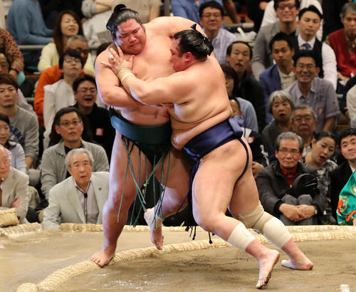 春場所12日目に錦木（左）を押し出しで下す北勝富士（2019年3月21日撮影）
