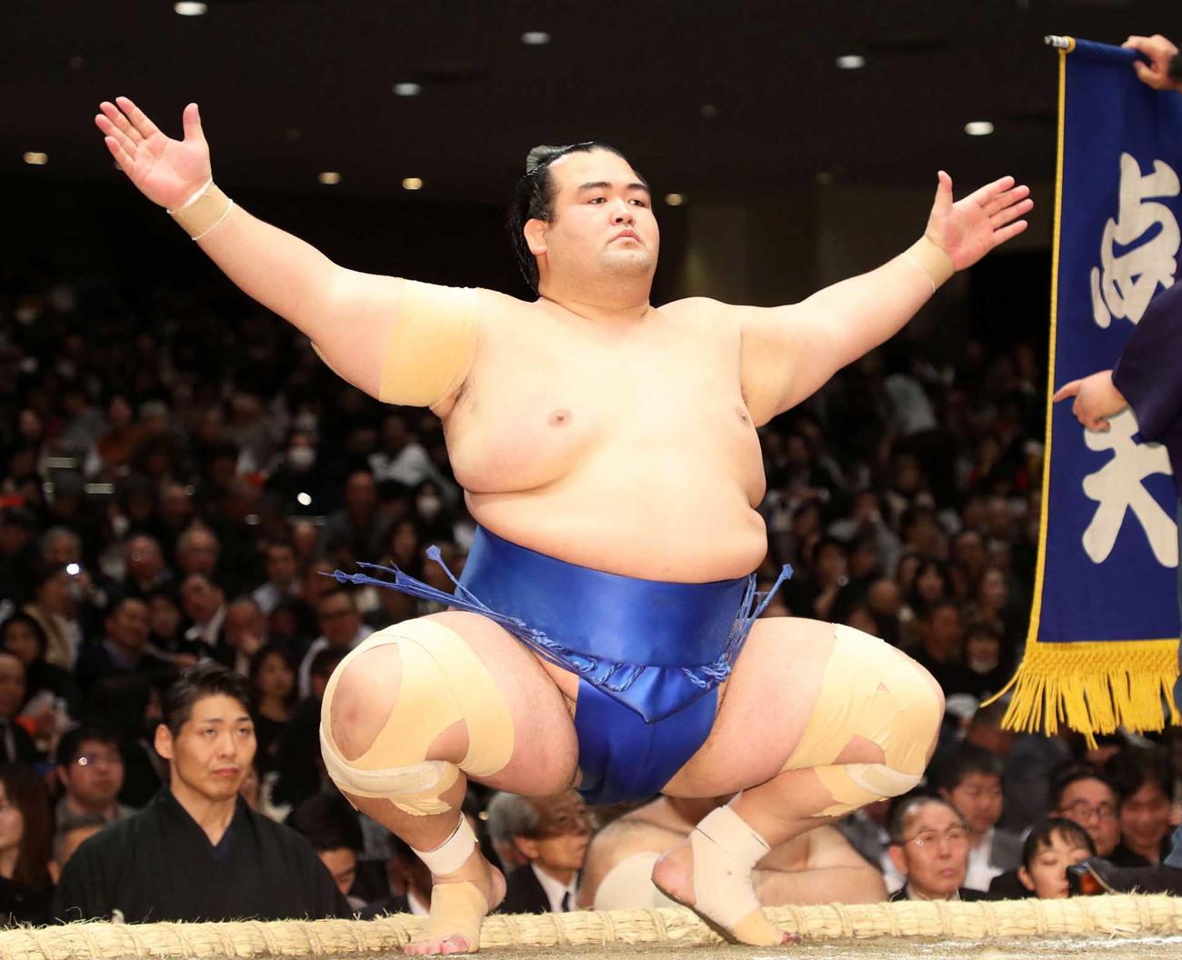 琴奨菊