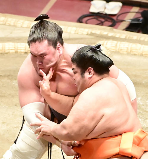 大相撲11月場所14日目　志摩ノ海（右）の強烈な張り手をこらえる照ノ富士（撮影・小沢裕）