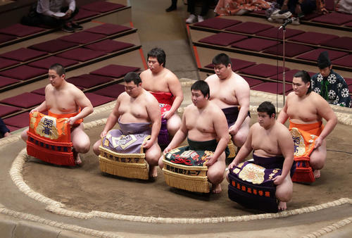 新序出世披露に臨んだ、前列左から、琴手計、東誠竜、大青山、若ノ勝、後列左から花房、薩摩翔、琴拳龍（撮影・河野匠）