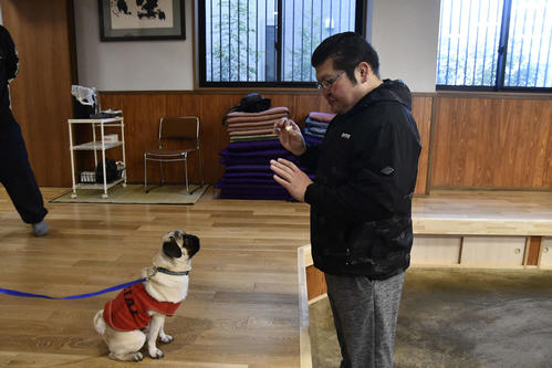 押尾川部屋の“広報部員”のブッチ（左）をしつける、師匠の押尾川親方(撮影・平山連)