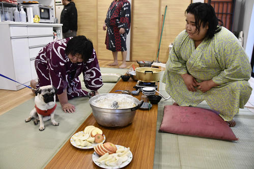 押尾川部屋の“広報部員”のブッチを見守る風の湖（左）と風賢央(撮影・平山連)