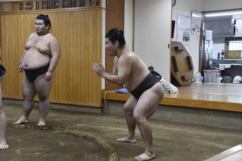 九州場所に向けて、稽古に打ち込む北はり磨（撮影・平山連）