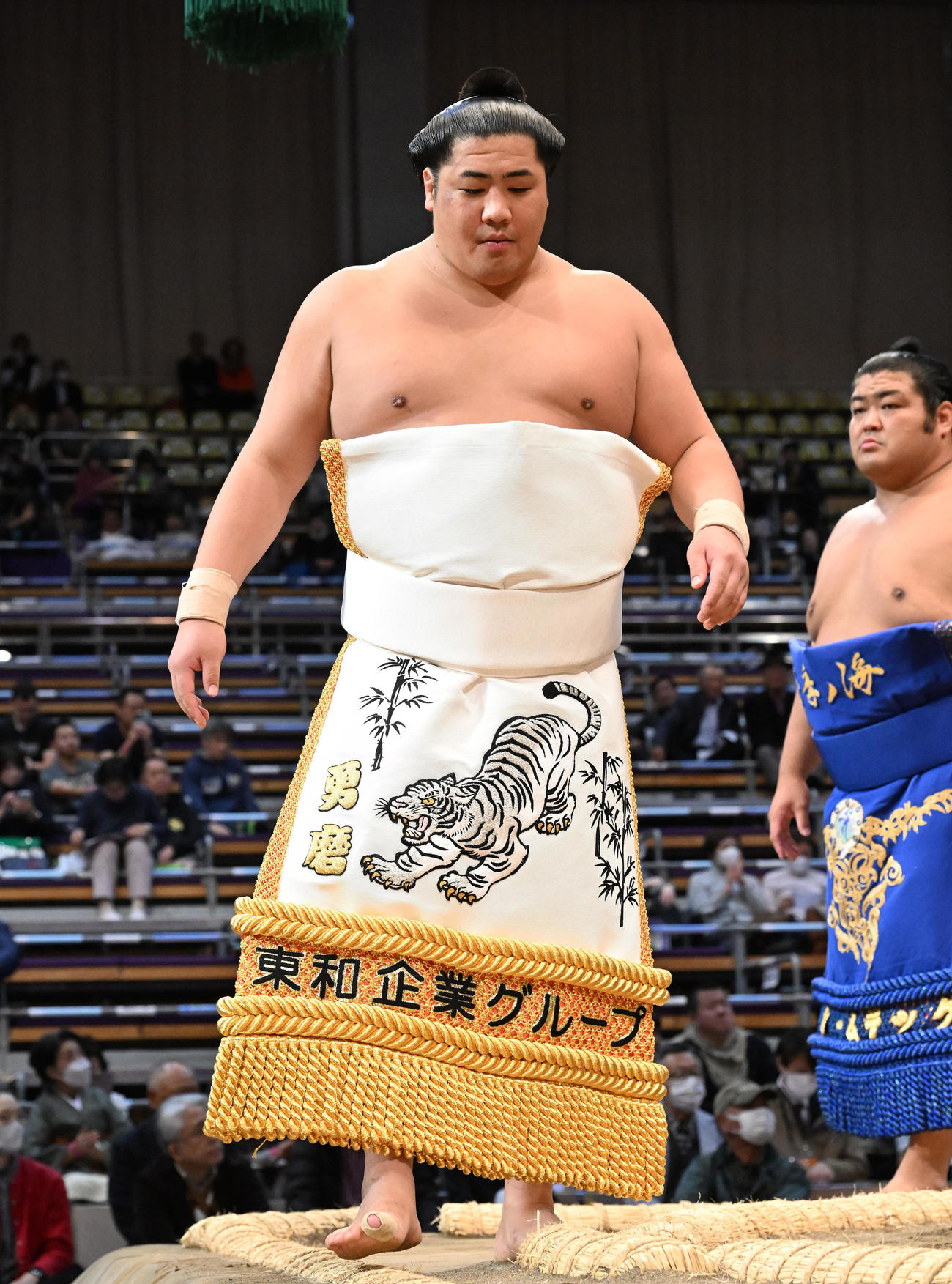 土俵入りする勇磨（2023年11月14日）　