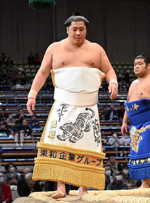 土俵入りする勇磨（2023年11月14日）　