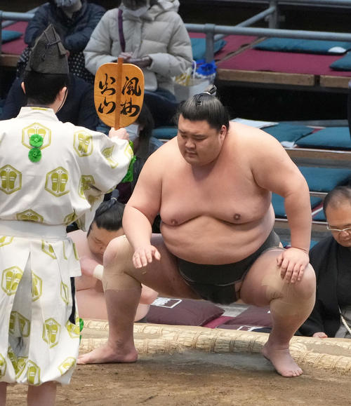 朝弁慶（2022年3月24日撮影）