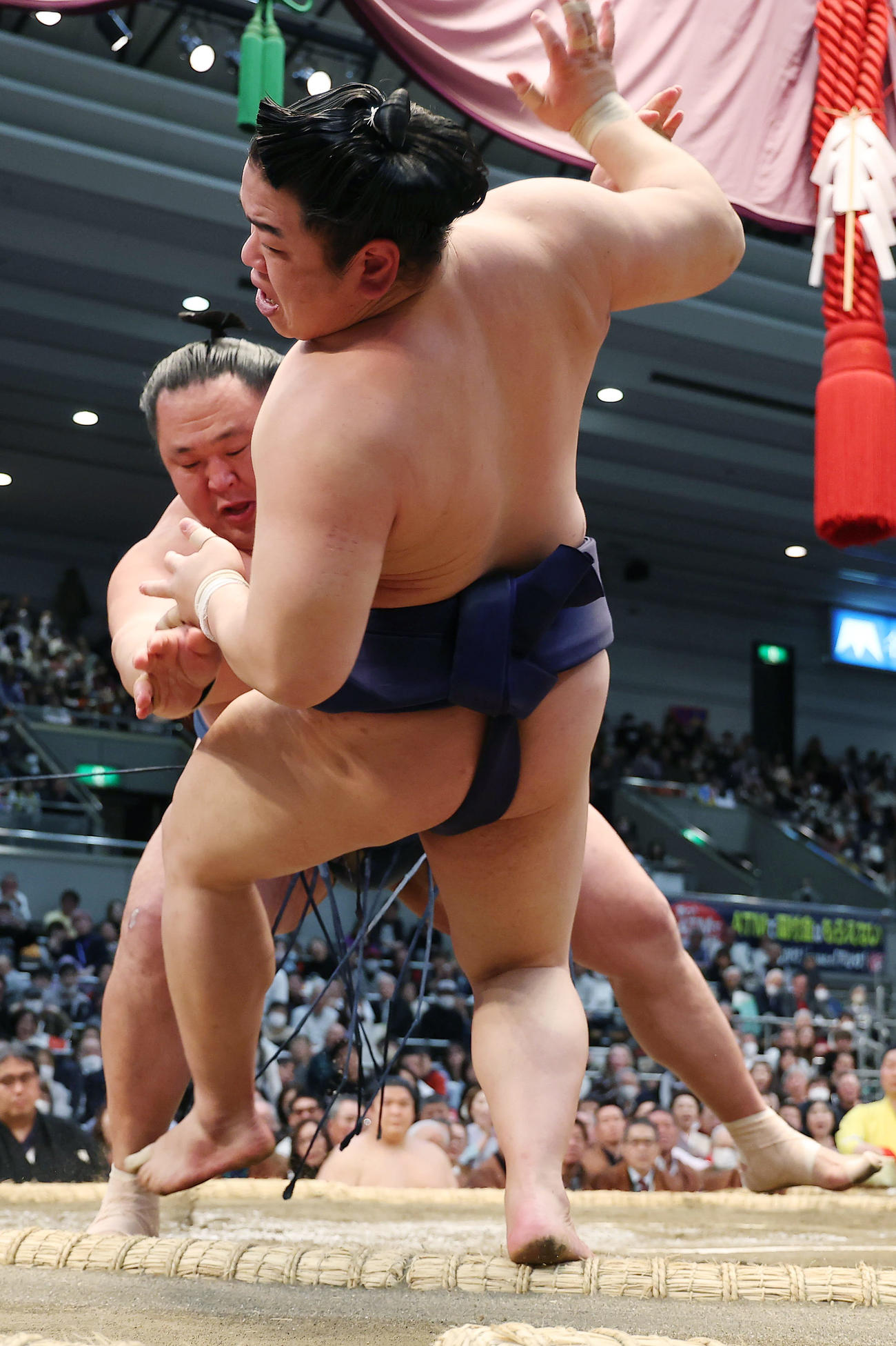 平戸海（手前）を押し倒しで破る玉鷲（撮影・前田充）