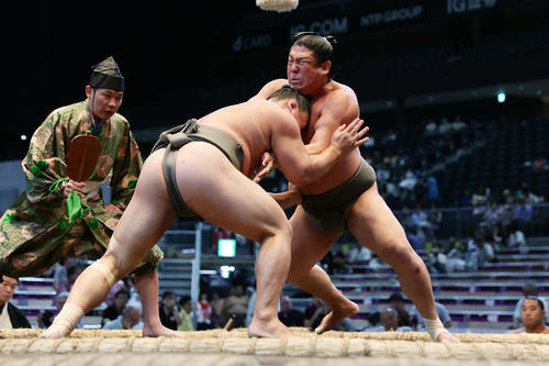 琴大龍（左）とぶつかり合う若隆元（撮影・前田充）