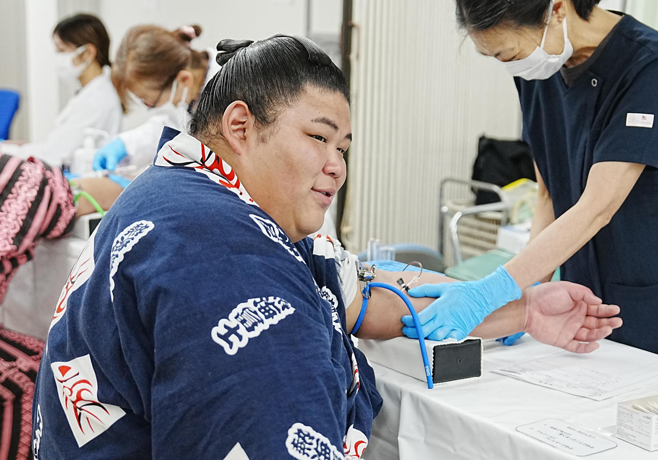 2日、健康診断で採血する伯桜鵬