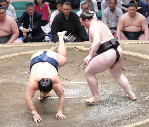獅司（右）は玉鷲を突き落としで破る（撮影・足立雅史）