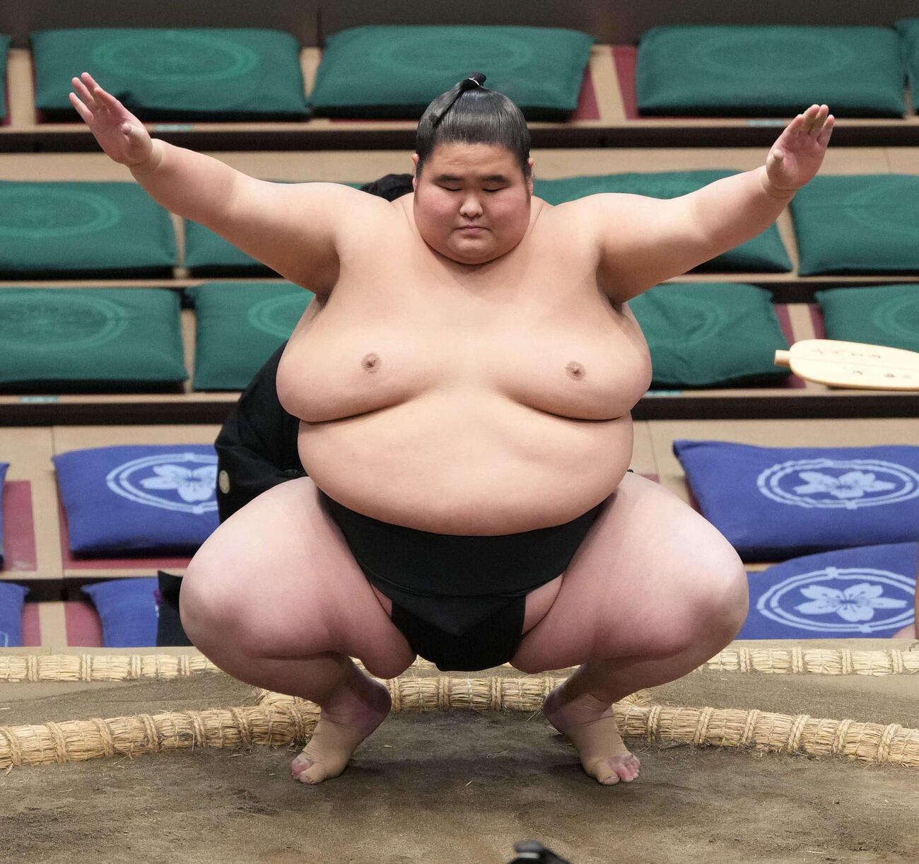 柏王丸（2026年1月撮影）