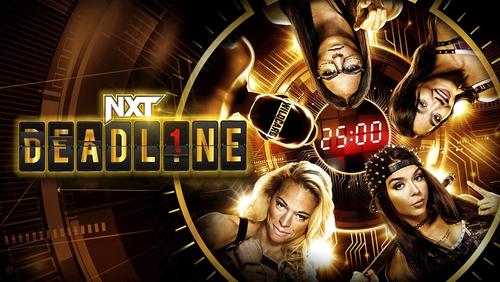 10日NXTデッドライン大会で開催される女子アイアン・サバイバー・チャレンジの出場選手（C）2022 WWE, Inc. All Rights Reserved.