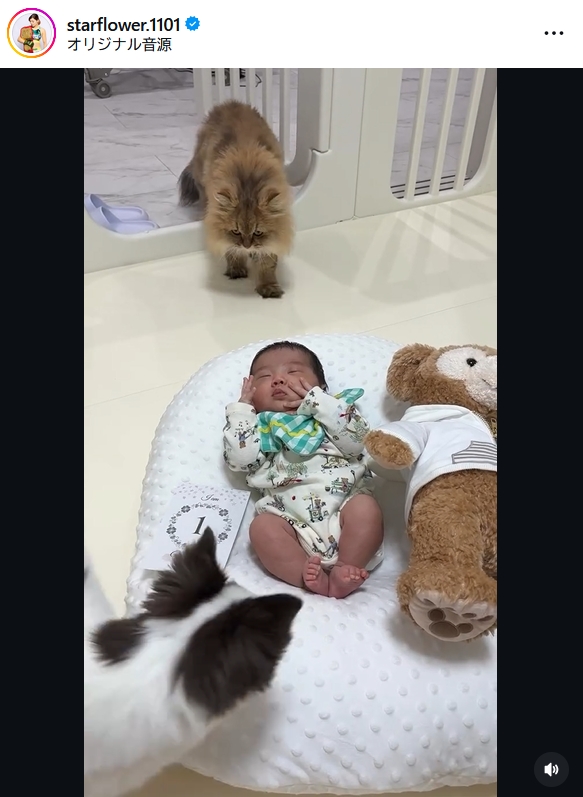 伊澤星花のインスタグラムから