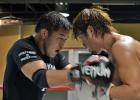 ボクシングの日本ヘビー級1位石田(右)とスパーリングをする石井(撮影・木村有三)