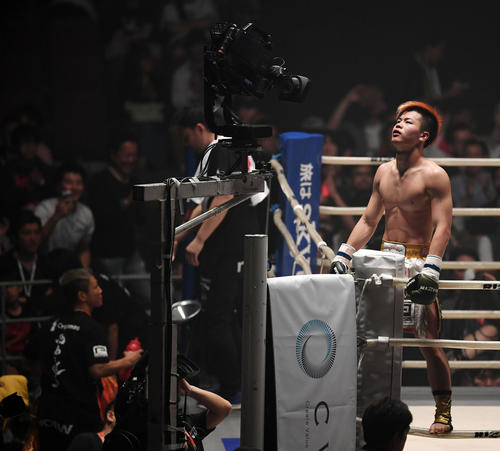中村優作対那須川天心　中村に勝利し天井を見上げる那須川（撮影・横山健太）