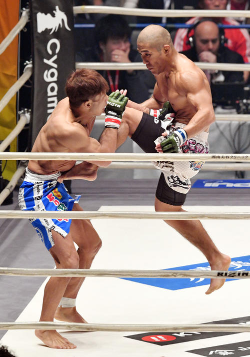 宮田対山本アーセン　2回、飛び膝蹴りを放つ山本アーセン（右）（撮影・滝沢徹郎）