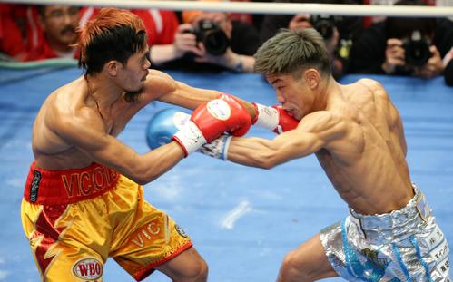 1回、サルダール（左）に左ストレートを放つ谷口（撮影・中島郁夫）