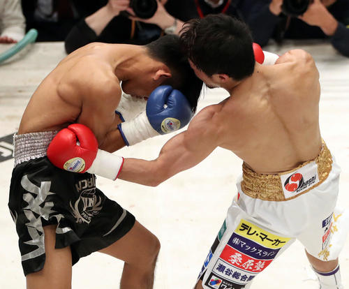 2回、八重樫（右）はサハバーブ・ブンオップから左ボディーで3度目のダウンを奪う（撮影・松本俊）