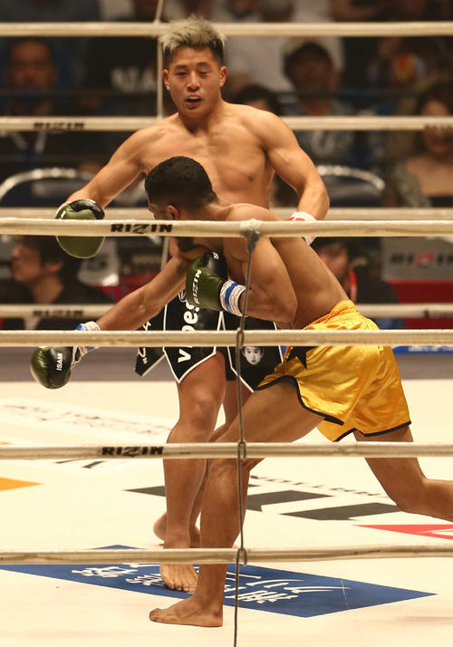 2回、フェレイラ（手前）の右パンチでノックダウンする大雅（撮影・河田真司）