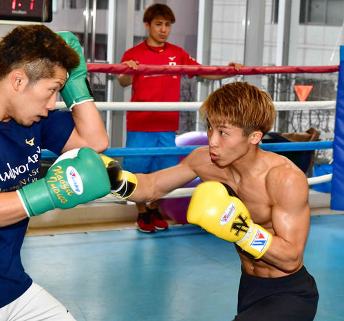 弟拓真（左）を相手に公開スパーリングを披露した井上尚（撮影・小沢裕）