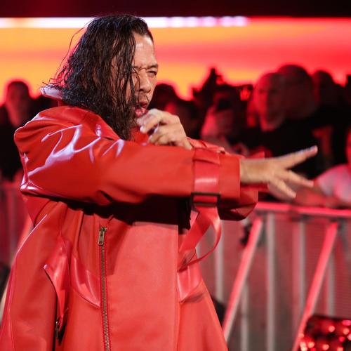 50人バトルロイヤル戦に出場した中邑真輔（C）2019WWE,Inc.AllRightsReserved