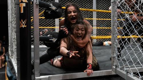 金網戦で、NXT女子王者ベイスラー（上）から変形キリフダクラッチを浴びる紫雷(C)2019WWE,Inc.AllRightsReserved