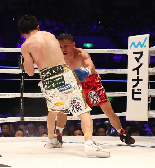 WBC世界ライトフライ級タイトルマッチ　拳四朗ージョナサン・タコリン　4R、タコリン（右）にTKO勝ちした拳四朗（撮影・加藤哉）