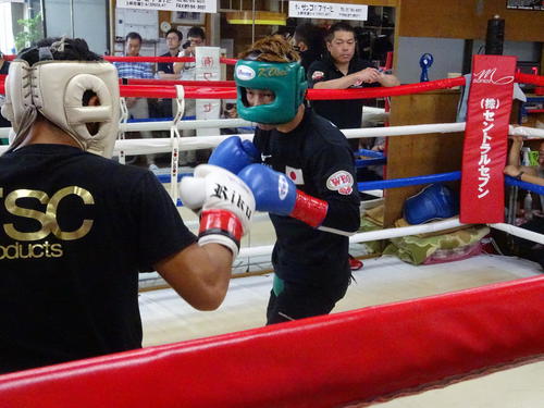 WBC世界ライトフライ級ユース王者加納陸（手前）とスパーリングを行うWBO世界フライ級王者田中恒成（撮影・加藤裕一）