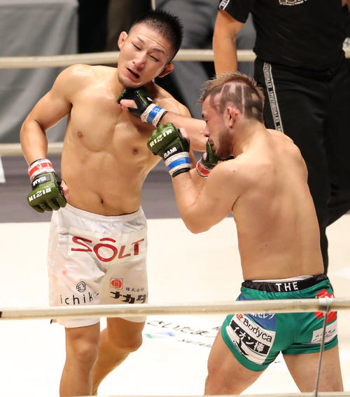 元谷友貴対扇久保博正　第3R、激しく打ち合う元谷友貴（左）と扇久保博正（撮影・狩俣裕三）