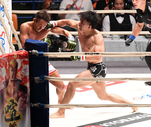 征矢貴対村元友太郎　2R、村元友太郎（右）をパンチを放つ征矢貴（撮影・前岡正明）