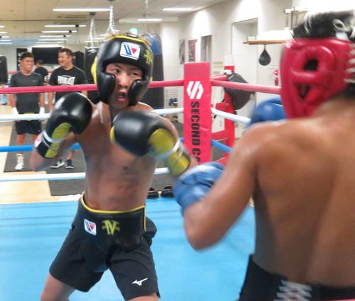 IBF世界スーパーフライ級12位ボルネア（右）と4回のスパーリングを消化したWBA・IBF世界バンタム級王者井上尚弥