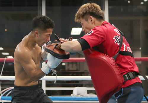 公開練習でミット打ちをする井上拓（撮影・佐藤成）
