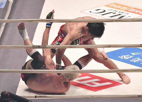 倒れた佐々木憂流迦にパンチを振り下ろす朝倉海（撮影・上田博志）