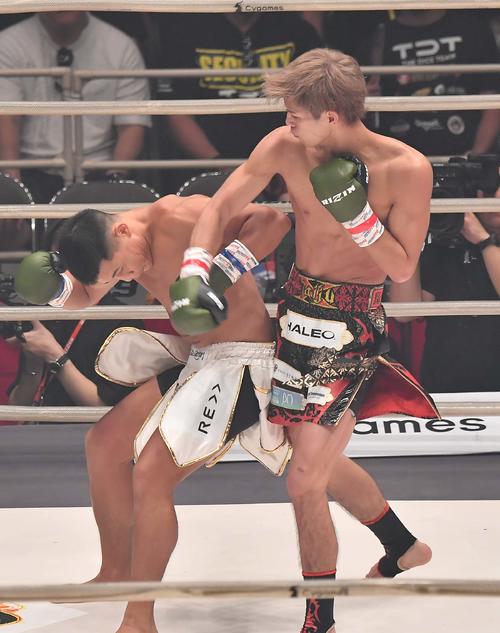 右フックでダウンを奪う白鳥大珠（右）（撮影・上田博志）