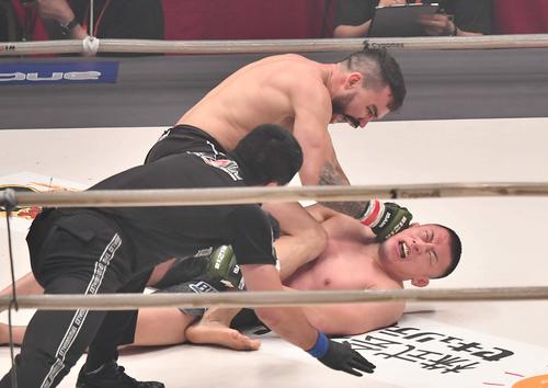 パトリッキー・ピットブル・フレイレにマウントポジションからパンチを浴びる川尻達也（撮影・上田博志）