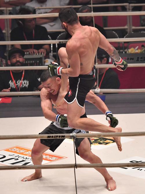 川尻達也対パトリッキー・ピットブル・フレイレ　パトリッキー・ピットブル・フレイレの跳びひざ蹴りを食らう川尻達也（撮影・上田博志）