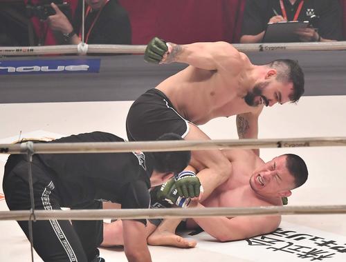 パトリッキー・ピットブル・フレイレにマウントポジションからパンチを浴びる川尻達也（撮影・上田博志）