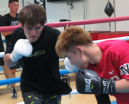 太田トレーナー（右）とともに軽めのスパーリングに臨んだ日本スーパーライト級王者井上浩樹